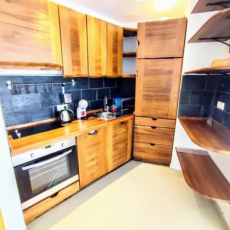1 Bedroom Ski&wellness For 5 People 公寓